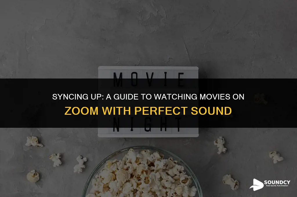 how to watch a movie on zoom with sound