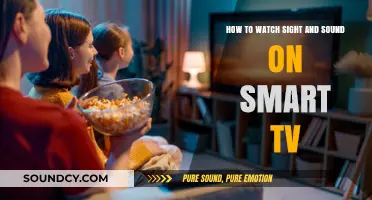Exploring Sight and Sound: A Smart TV Viewing Guide