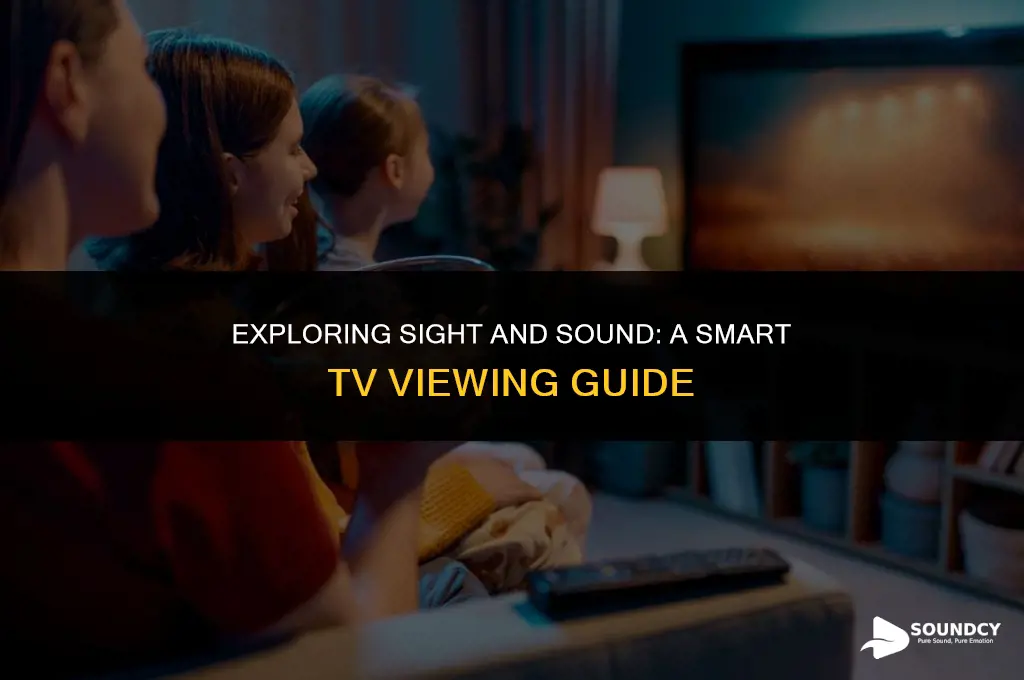 how to watch sight and sound on smart tv