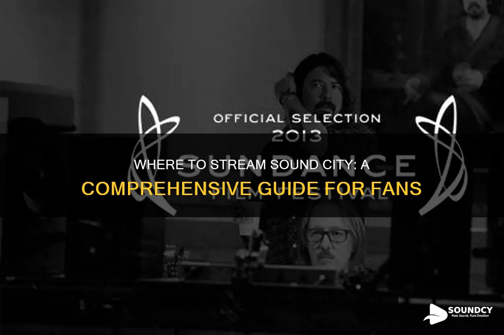 how to watch sound city