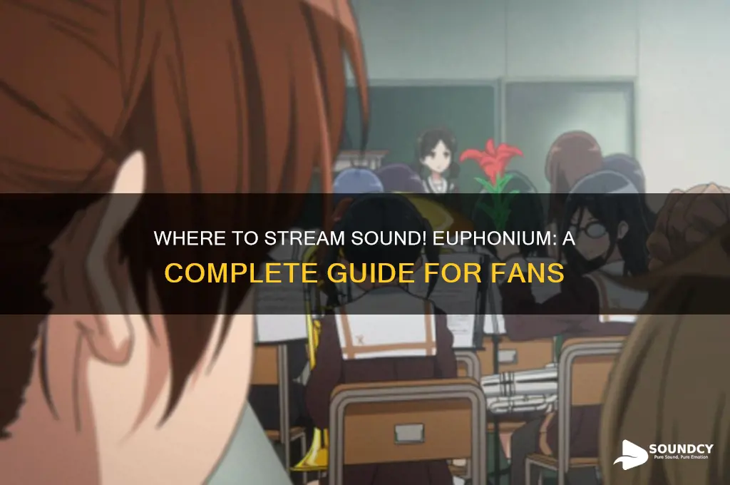 how to watch sound euphonium