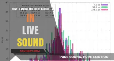 Mastering Live Sound: A Guide to Monitoring Your Crest Factor