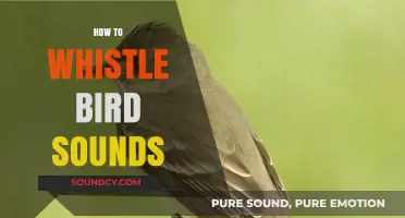 Mastering the Art of Whistling Bird Sounds: A Beginner's Guide