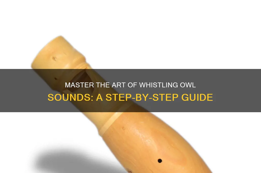 how to whistle owls sounds