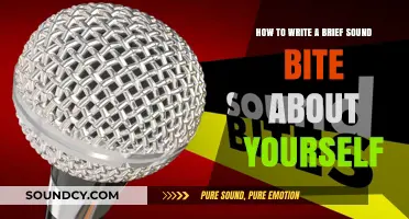 Crafting a Compelling Sound Bite: A Guide to Self-Introduction