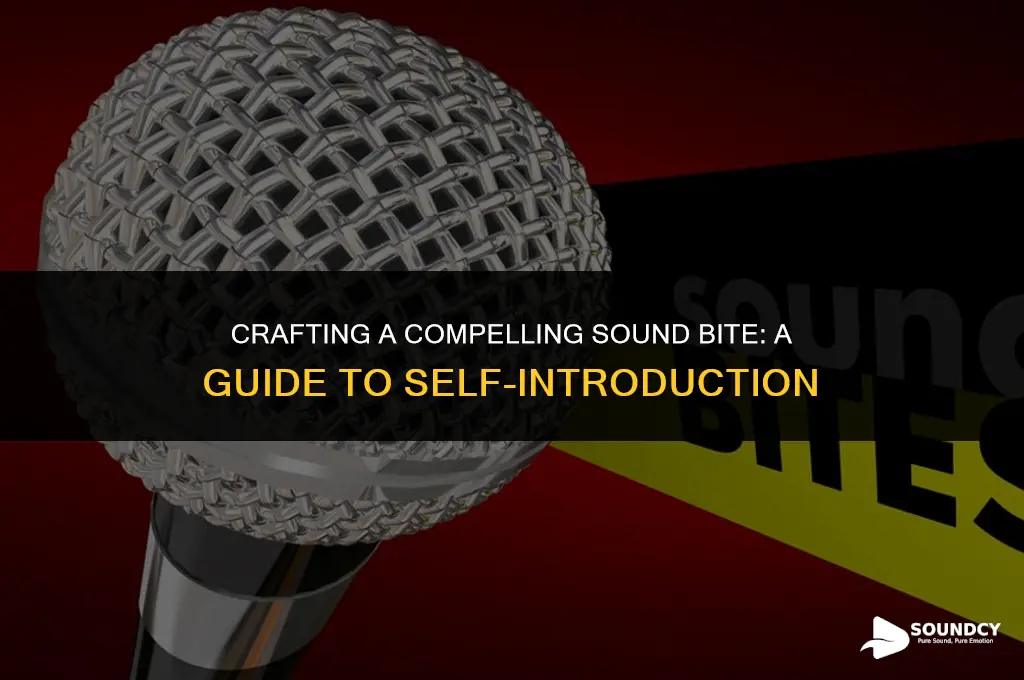 how to write a brief sound bite about yourself