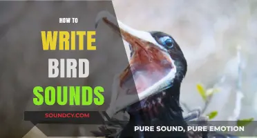 Mastering Avian Phonetics: A Guide to Writing Bird Sounds Accurately