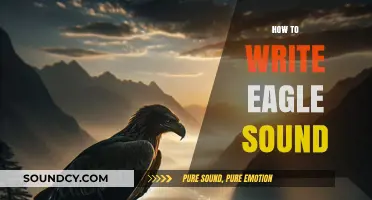 Mastering the Art of Writing Eagle Sounds in Music Composition