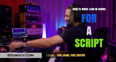 Crafting Compelling Leads: A Sound Scriptwriting Guide