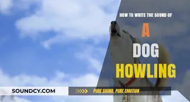 Capturing the Haunting Melody: How to Write a Dog's Howl