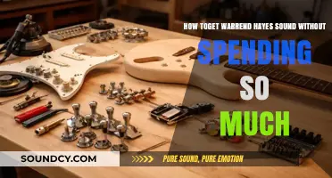 Unlocking Warren Hayes' Tone: Budget-Friendly Guitar Tips