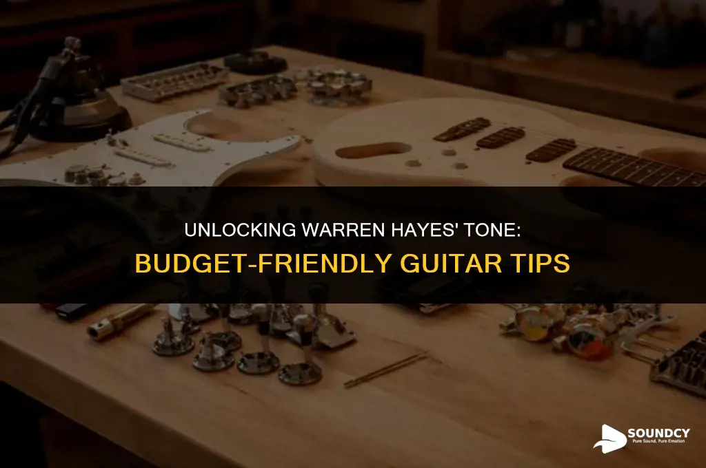 how toget warrend hayes sound without spending so much