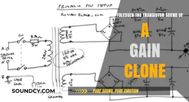 Minimizing Transistor Noise in Gain Clone Circuits: A Practical Guide