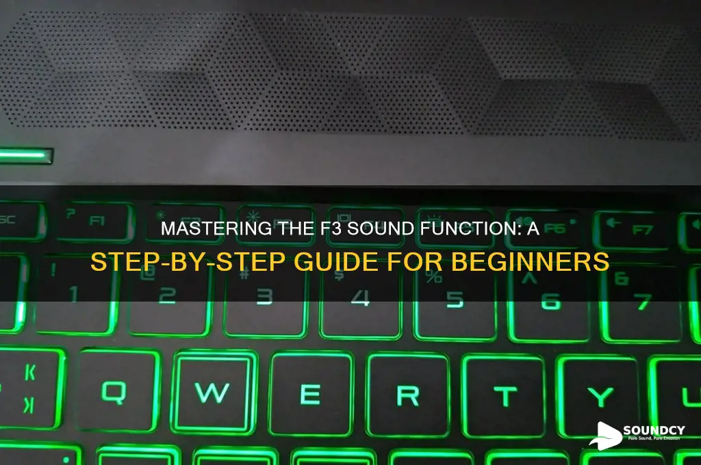 how touse f3 sound function