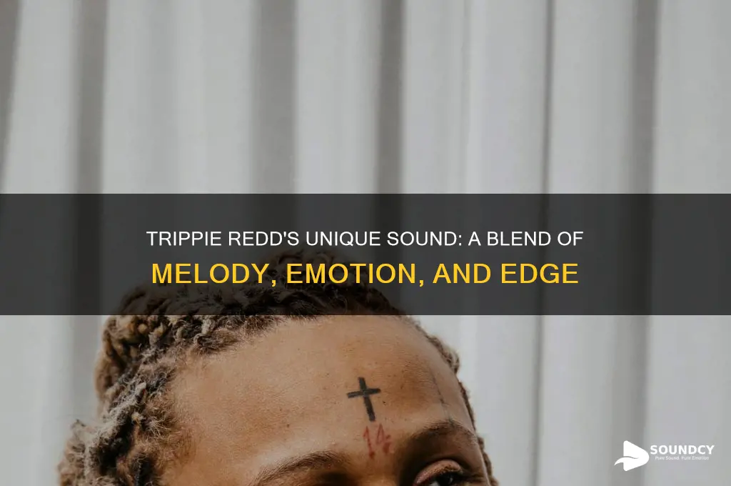 how trippie redd sounds like