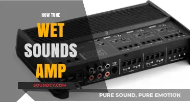 Mastering Wet Sounds: A Guide to Tuning Your Amp Perfectly