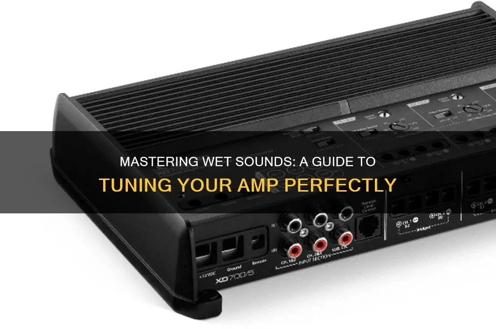 how tune wet sounds amp