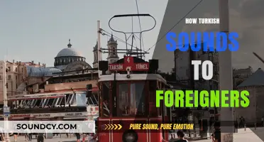 How Turkish Sounds to Foreign Ears: A Unique Linguistic Journey