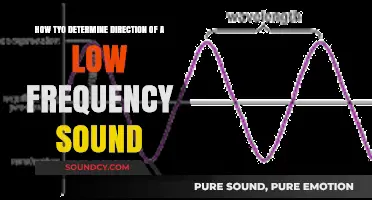Decoding Low-Frequency Sounds: A Guide to Determining Direction