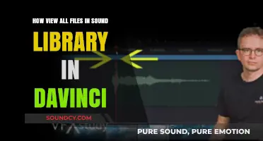 Exploring DaVinci's Sound Library: A Comprehensive Guide
