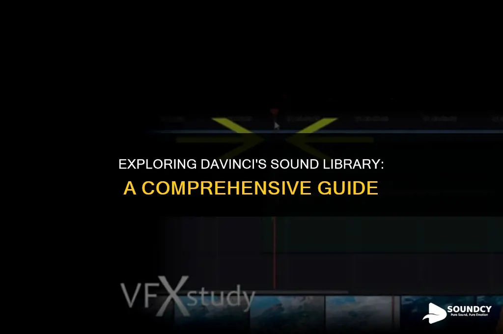 how view all files in sound library in davinci