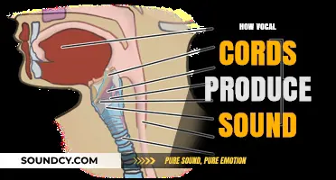 Unveiling the Science: How Vocal Cords Create Human Sound