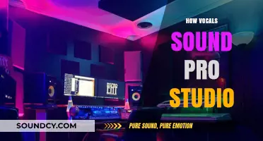 Mastering Studio Vocals: Techniques for Professional Sound Quality