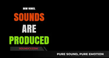 Unveiling the Art of Speech: How Vowel Sounds Are Produced