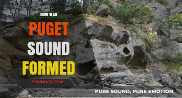 The Geological Journey: How Puget Sound Was Formed Over Time