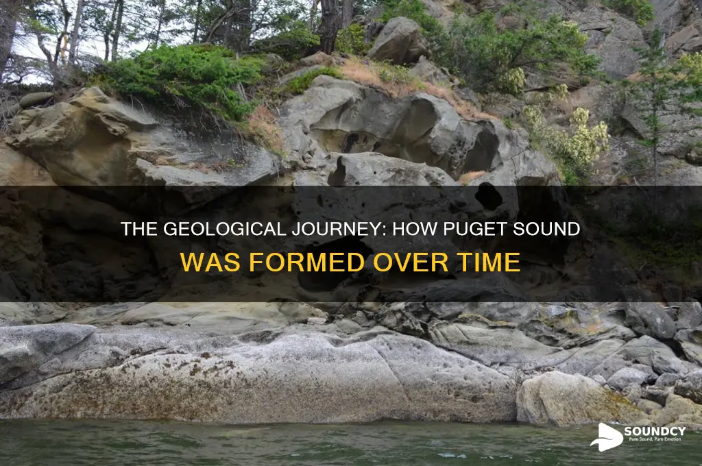 how was puget sound formed
