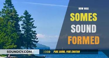 The Mysterious Origins of Somes Sound: A Geological Journey