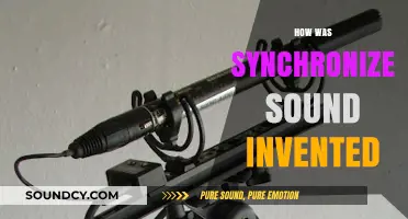 The Revolutionary Birth of Synchronized Sound in Cinema