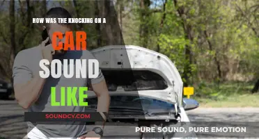 Decoding the Distinct Knocks: A Sonic Exploration of Car Sounds