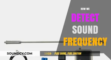 Unveiling the Science Behind Detecting Sound Frequencies in Everyday Life