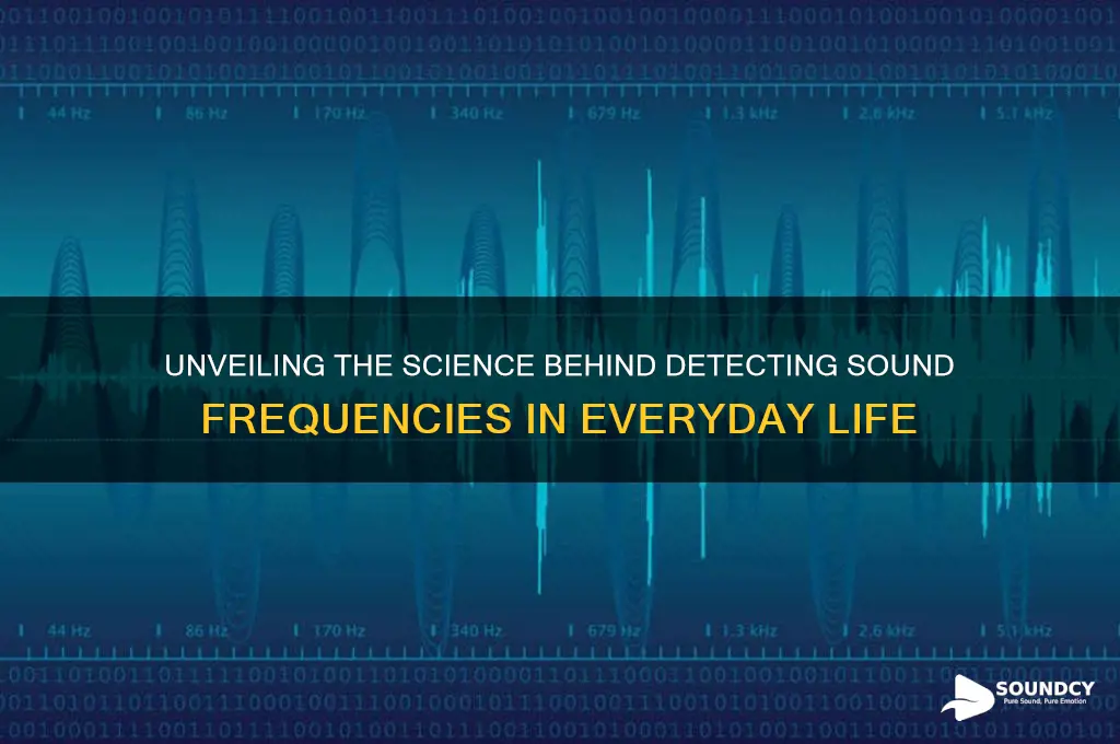 how we detect sound frequency