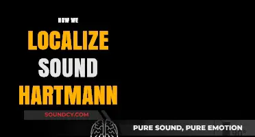 How We Localize Sound: Unveiling Hartmann's Role in Spatial Hearing