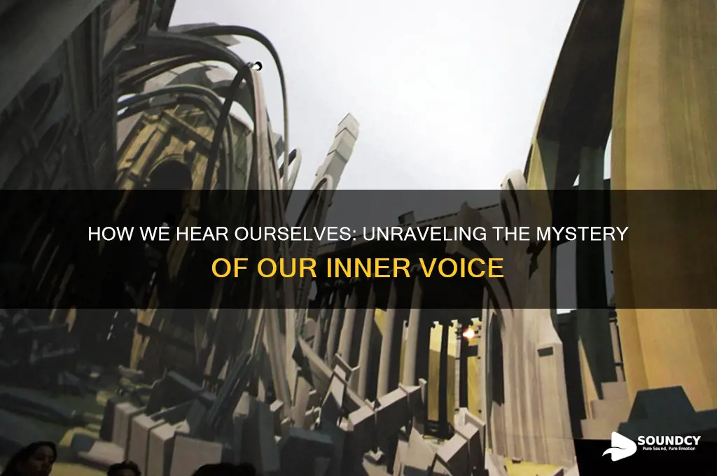 how we sound to ourselves