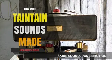 Unveiling the Secrets: How Taintain Sounds Were Crafted and Produced