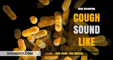 Unmistakable Whooping Cough Sound: Identifying the Distinctive Cough Symptoms