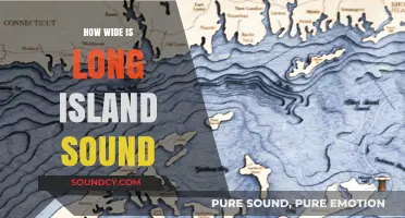 Exploring the Depths of Long Island Sound