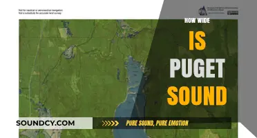 Exploring Puget Sound's Width: A Comprehensive Guide to Its Dimensions