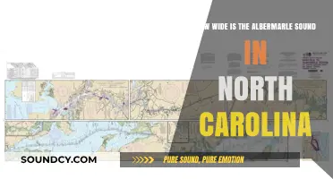 Exploring the Albemarle Sound: North Carolina's Coastal Gem