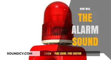 How Will the Alarm Sound? Exploring Alerts for Safety and Awareness