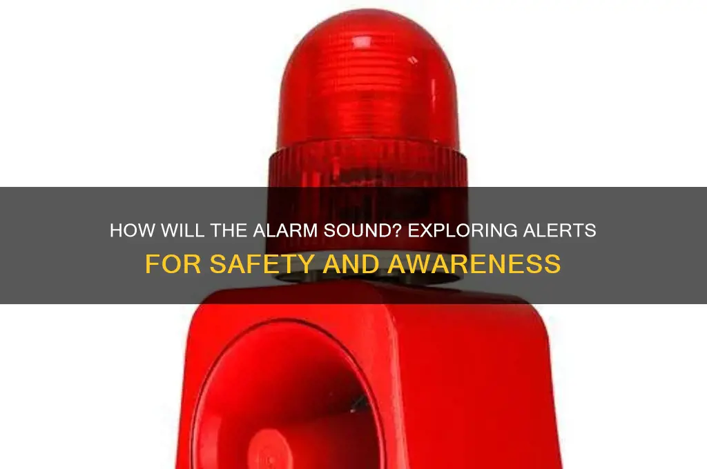 how will the alarm sound