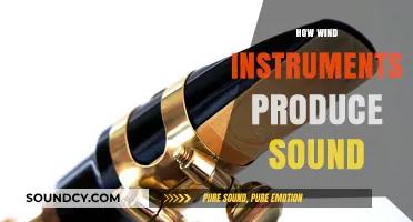 Unveiling the Science: How Wind Instruments Create Musical Sound Waves