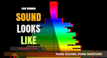 The Visual Symphony of Success: Decoding the Look of Winning Sound