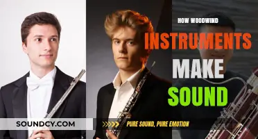 Unveiling the Science: How Woodwind Instruments Create Musical Sound
