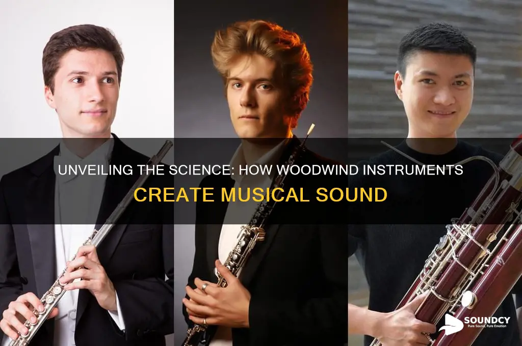how woodwind instruments make sound
