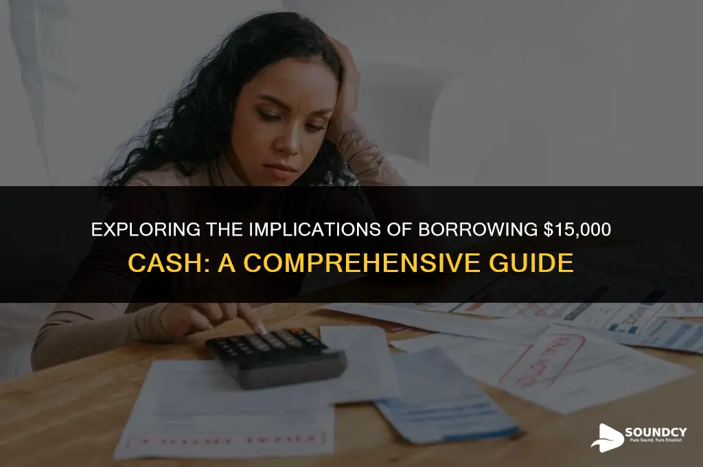 how would borrowing 15 000 cash sound an entry