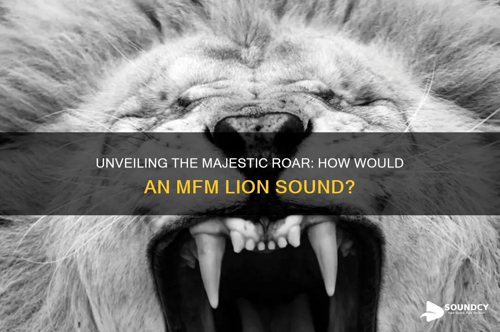 how would mfm lion sound
